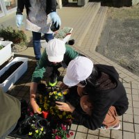 お花を植えよう（栽培委員会）