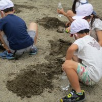 １学期の様子　砂と遊ぼう（１年生活）