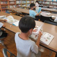 １学期の様子　図書室で調べよう（２年） 　