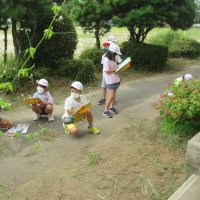 野菜の収穫（２年生活）