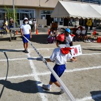 運動会②なにがでるかな？なりきりどうぶつ（低学年）