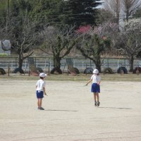 縄跳びをがんばっています！（１年・２年体育）