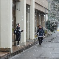 朝は雪景色