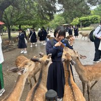 東大寺奈良公園